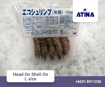 Head On Shell On L size